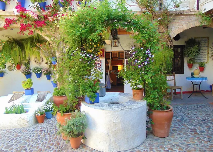Mirando A La Mezquita