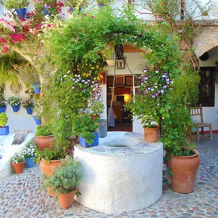 Mirando A La Mezquita