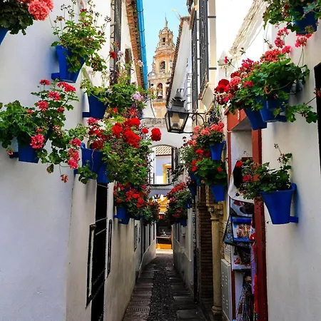 Mirando A La Mezquita شقة قرطبة